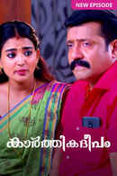 Karthika Deepam(కార్తీక దీపం) Poster 6