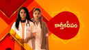 Karthika Deepam(కార్తీక దీపం) Poster 2