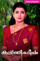 Karthika Deepam(కార్తీక దీపం) Poster 3