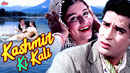 Kashmir Ki Kali Poster 5