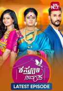 Kasthuri Nivasa Poster 5