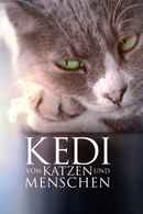 Kedi Poster 3