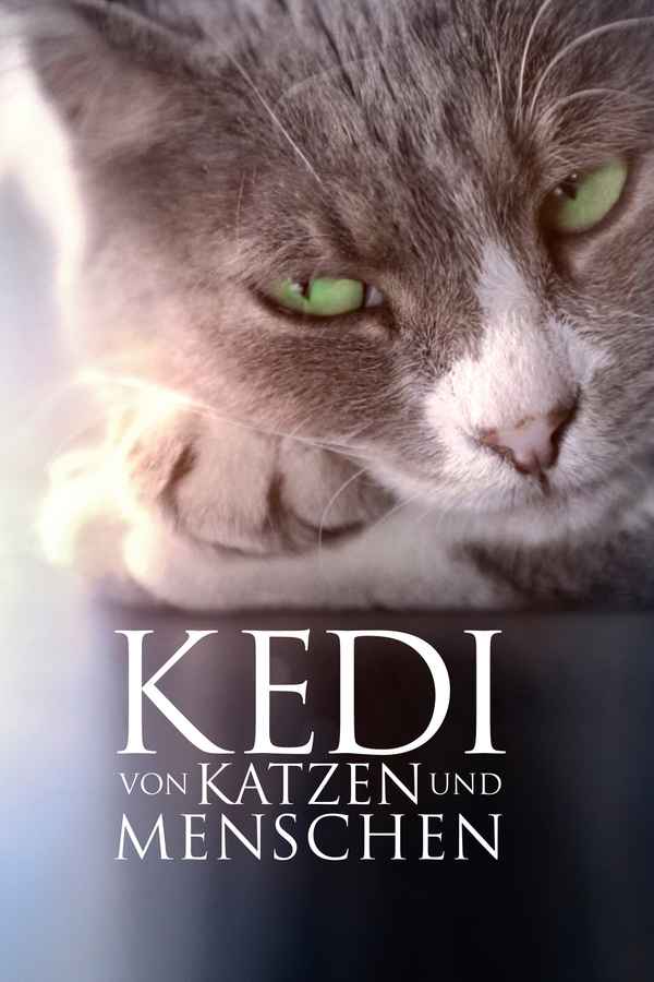 Kedi Poster 3
