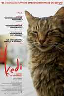 Kedi Poster 4
