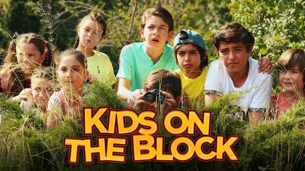 Kids on the Block Poster 5