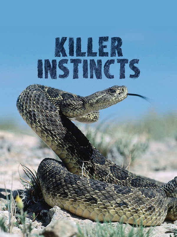 Killer Instincts Poster 3