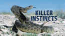 Killer Instincts Poster 1