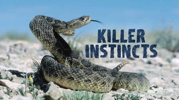 Killer Instincts Poster 1
