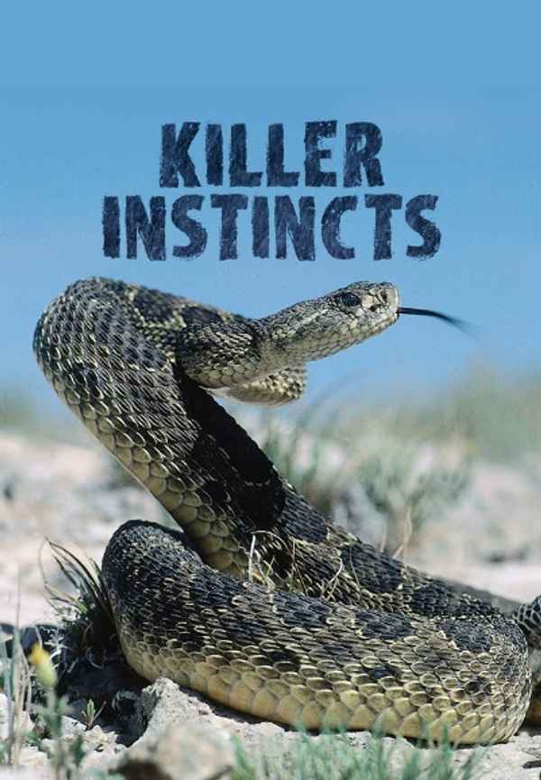 Killer Instincts Poster 4