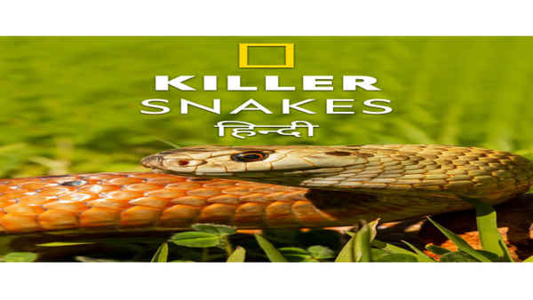 Killer Snakes Poster 6