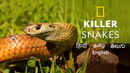 Killer Snakes Poster 7