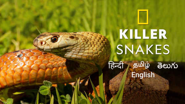 Killer Snakes Poster 7