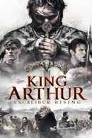 King Arthur: Excalibur Rising Poster 6