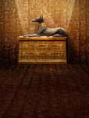 King Tut: A Century of Secrets Poster 7