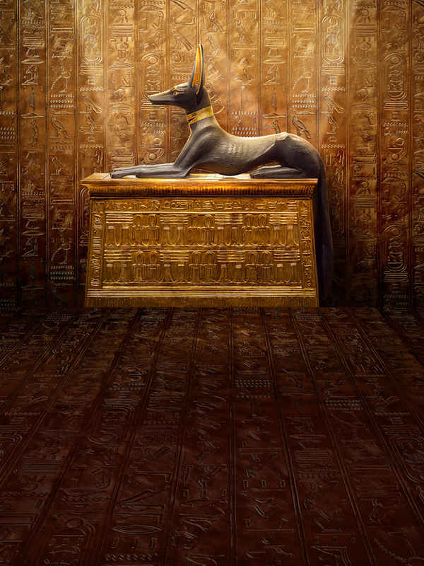 King Tut: A Century of Secrets Poster 7