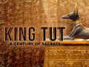 King Tut: A Century of Secrets Poster 6