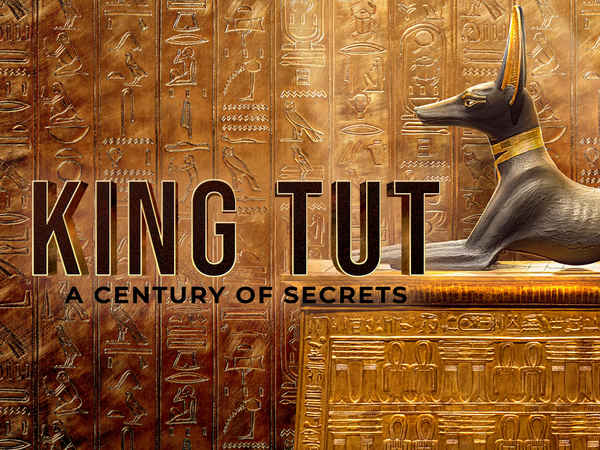 King Tut: A Century of Secrets Poster 6