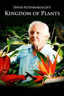 Kingdom of Plants Poster 3