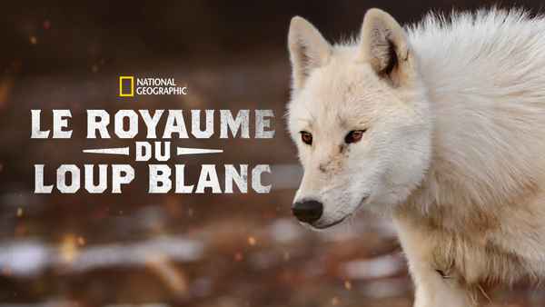 Kingdom Of The White Wolf Poster 5