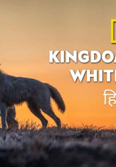 Kingdom Of The White Wolf