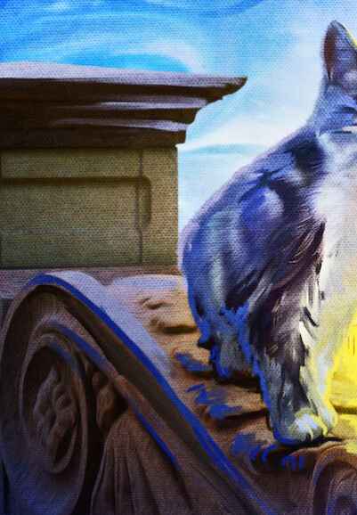 Kitty Love: An Homage to Cats