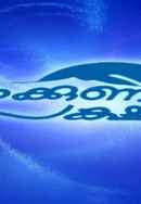 Kizhakkunarum Pakshi Poster 5