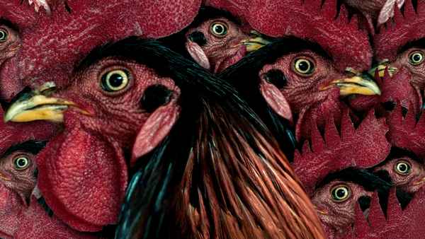 Kottukkaali (கொத்துக்களை) Poster 3