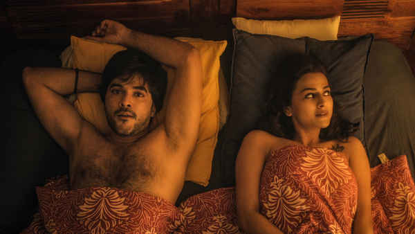 Krishna and His Leela Poster 5