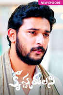 Krishna Tulasi Poster 6