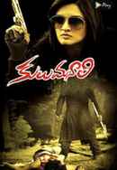 Kulu Manali Poster 4