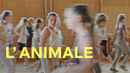 L’animale Poster 4