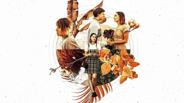 Lady Bird Poster 2