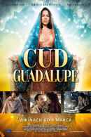 Lady of Guadalupe Poster 7