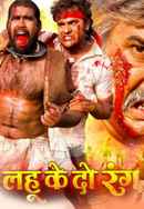 Lahoo Ke Do Rang Poster 2