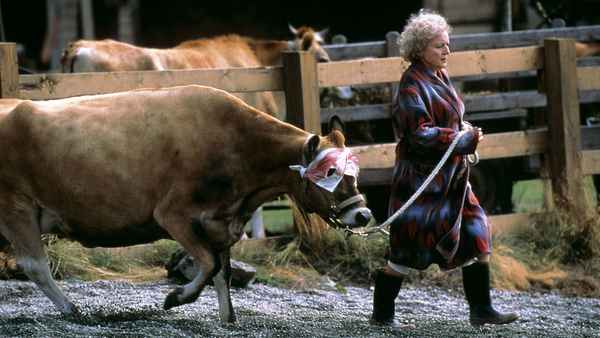 Lake Placid Poster 2