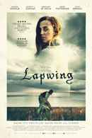 Lapwing Poster 5