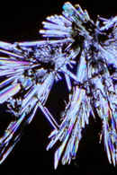 Last Things Poster 4