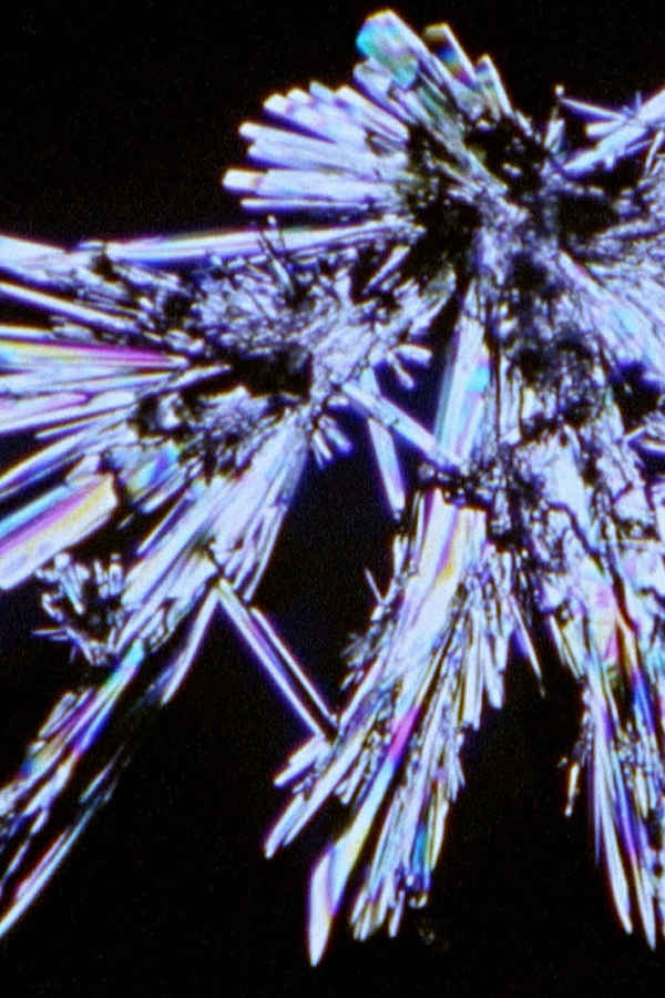 Last Things Poster 4