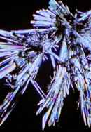 Last Things Poster 6