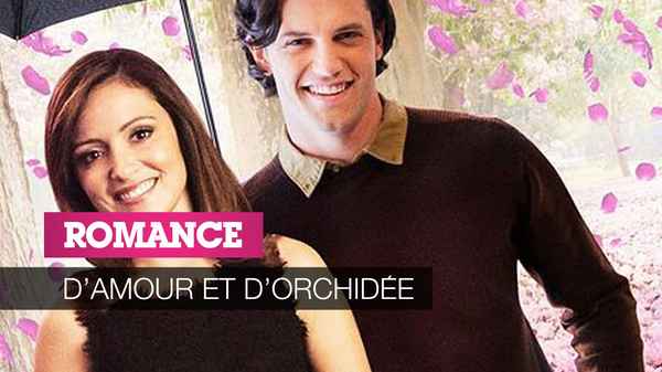 Late Bloomer Poster 1