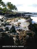 Lava Rock Beach: Hawaii Poster 2