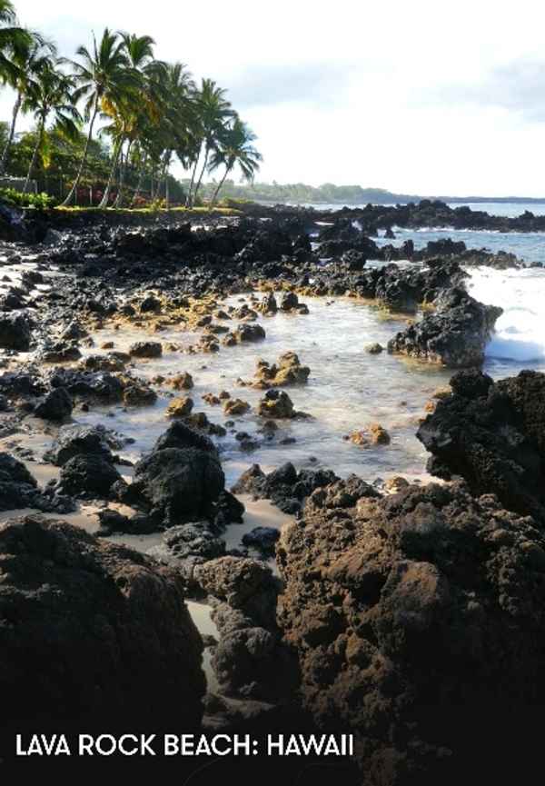 Lava Rock Beach: Hawaii Poster 3