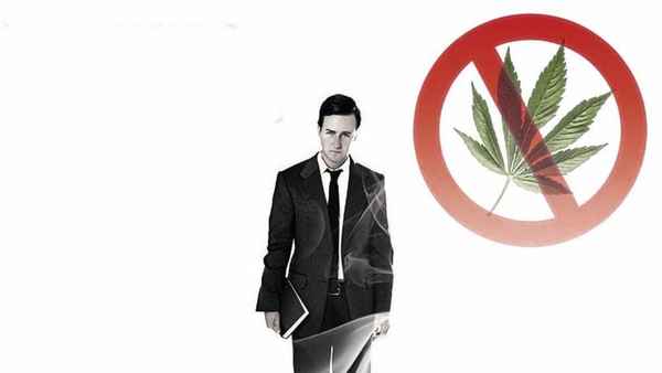 Leaves of Grass Poster 4