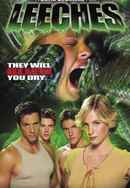 Leeches! Poster 3