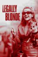 Legally Blonde Poster 5