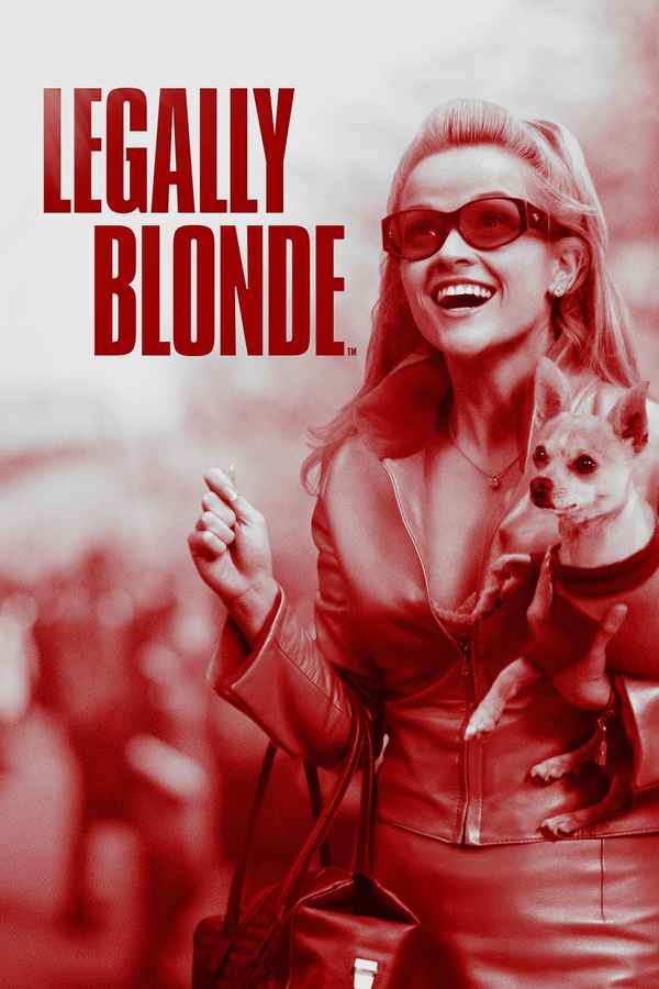 Legally Blonde Poster 5