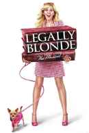 Legally Blonde: The Musical Poster 7