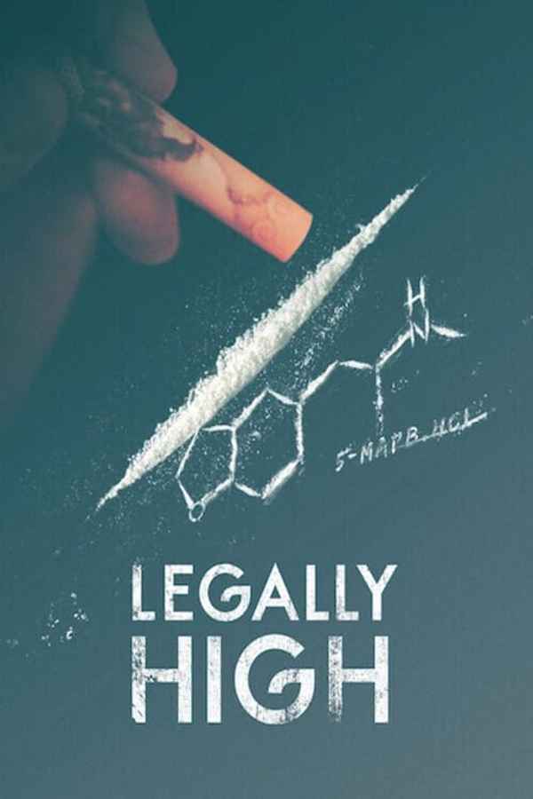 Legally High Poster 2