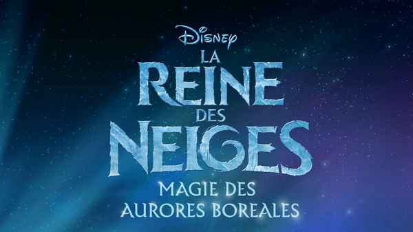 LEGO Frozen Northern Lights Poster 4