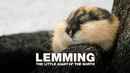 Lemming - The Little Giant of the North Poster 1